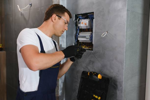 Best Electric Panel Repair  in Kapaau, HI